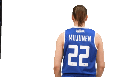 Sport Basketball Sticker by Basket_fi