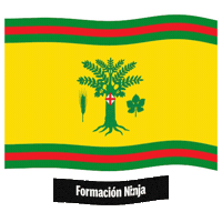 Flag Spain Sticker by Formación Ninja