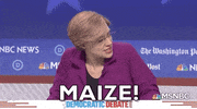 Snl GIF by Saturday Night Live