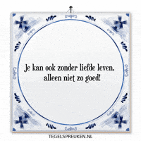 Hoop Nl GIF by Tegelspreuken.nl