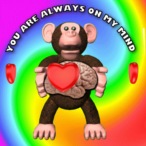 Love You Regret GIF