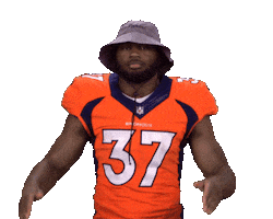 Denver Broncos Stickers Sticker by NFL