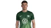 Three Points Win Sticker by VfL Wolfsburg