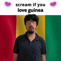 Guinea Flag GIF