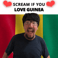 Guinea Flag GIF