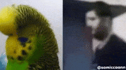 Muhabbet Yakup GIF