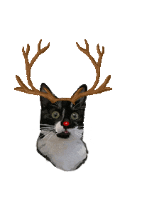 Merry Christmas Cat Sticker by Pet Print Ro