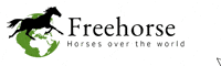 Freehorse horse horses cheval horse riding GIF