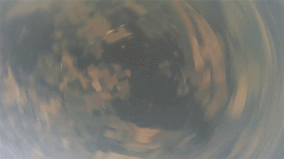 Sick The Drop GIF by Digg