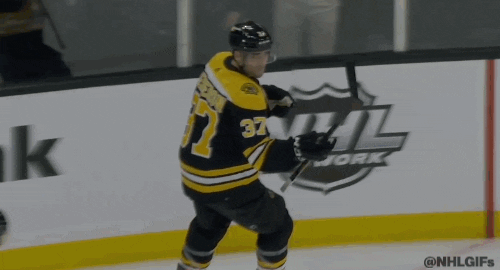 Happy Ice Hockey GIF by NHL
