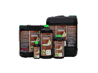 Vegan Grow Sticker by Greenbuzzliquids