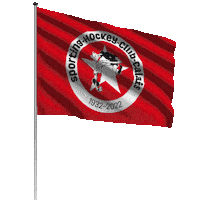 Hockey Sporting Sticker by SHCCalais