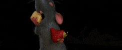 ratatouille GIF by Disney Pixar