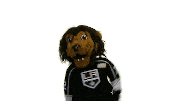 Ice Hockey Sport Sticker by NHL