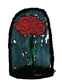 Flower Rose Sticker by zfr38