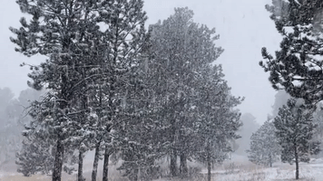 Snow Blankets Colorado Park As Wintry Weather Arrives