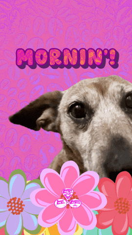 Good Morning Cute Dog GIF by SweetRooBou