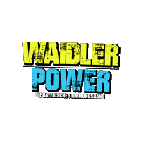 Party Power Sticker by waidlerpower
