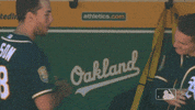 chapman GIF by MLB