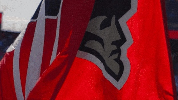 Football Nfl GIF by New England Patriots