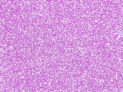 100 Percent Woman GIF by GIPHY Studios 2021