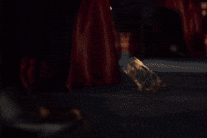 Perfect World GIF