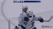 Ice Hockey Hug GIF by NHL