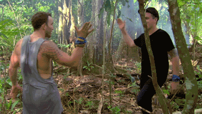 australia GIF by Australian Survivor
