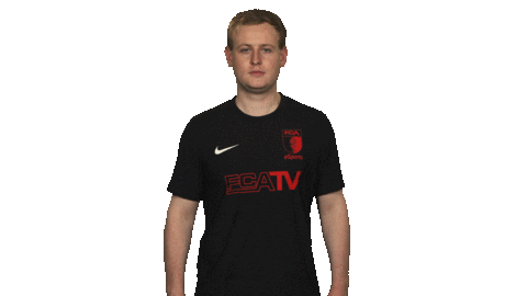 Fifa Salute Sticker by Bundesliga