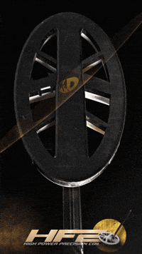 Jewellery Detecting GIF by Crazy Detectors