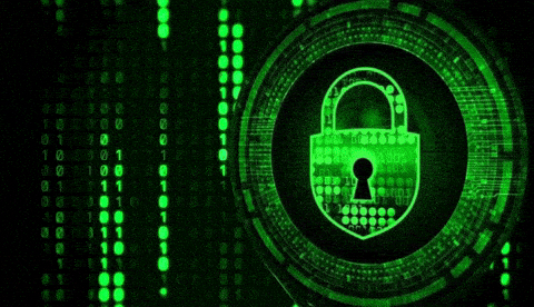 VALEBACU giphyupload GIF