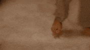 Scott Porter Georgia GIF by NETFLIX
