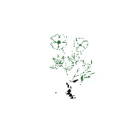 Plant Mama Sticker by Shop Dixi