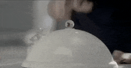 india bread GIF by bypriyashah