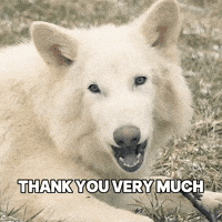 Thanks Wolf GIF by Colossal
