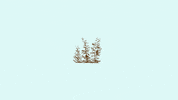 ms_fefa fefa msfefa GIF