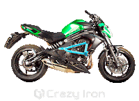 Motorcycle Kawasaki Sticker by Crazy Iron
