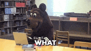missouristate GIF by Missouri State University