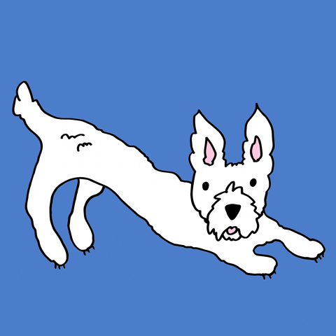 onedowndog dog mascot tail happy dog GIF