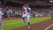 Home Run Celebration GIF by New York Mets