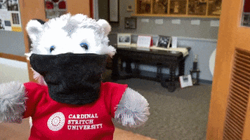 Wolf Pack Archives GIF by Cardinal Stritch University
