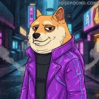 Shiba Inu Deal With It GIF by Doge Pound