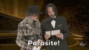 Oscars GIF by The Academy Awards