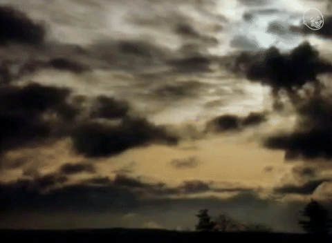 The Words You Are About To Read Are True