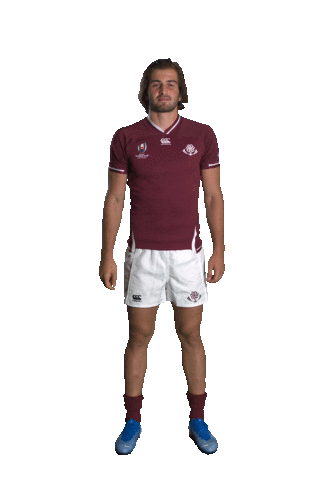 World Rugby Sticker by Rugby World Cup