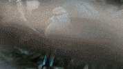 Atlanta Atl GIF by ZooATL