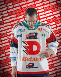 Hockey Czech GIF by HC Dynamo Pardubice