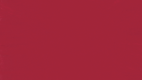 Charroslmb2025 GIF by Charros de Jalisco