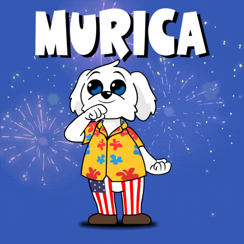 United States Usa GIF by BoDoggos