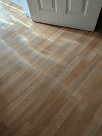 KantoLegend_ dog run puppy fast GIF